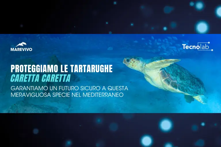 Proteggiamo le tartarughe - Tecnolab